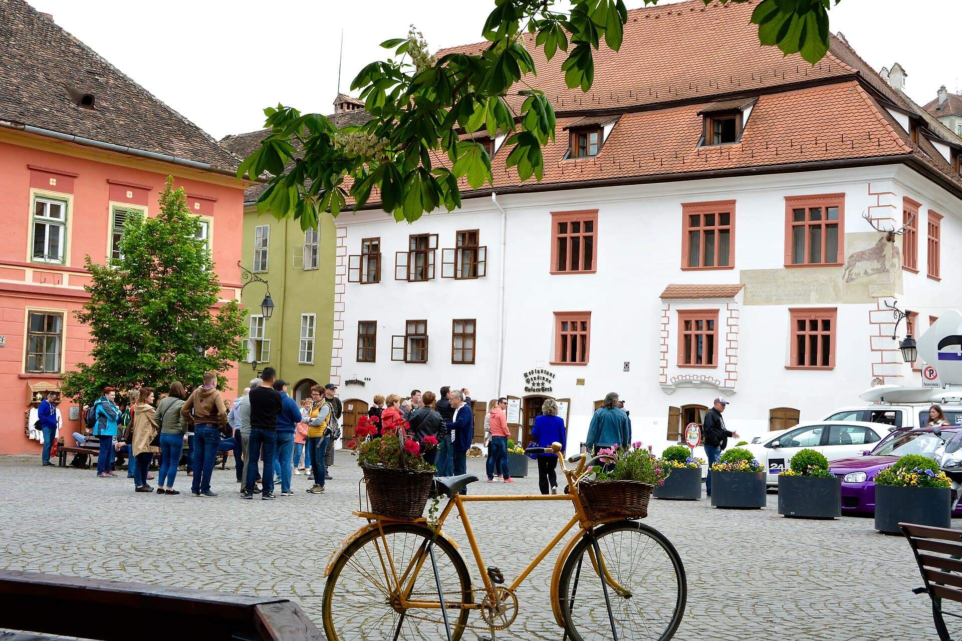 Sighișoara Private Day Trip